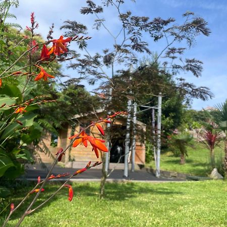 La Wodapalousa, Surf & Crossfit Guesthouse, 800M From Beach 比达尔 外观 照片