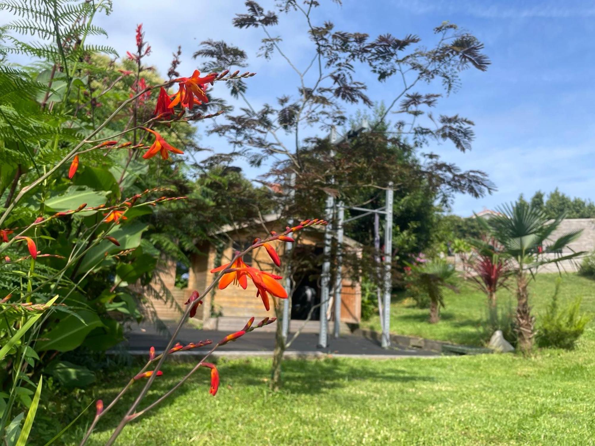 La Wodapalousa, Surf & Crossfit Guesthouse, 800M From Beach 比达尔 外观 照片
